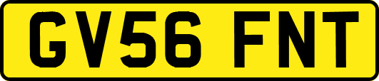 GV56FNT