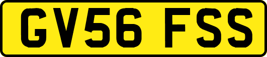GV56FSS