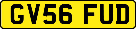 GV56FUD