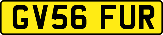 GV56FUR