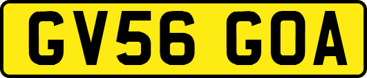 GV56GOA
