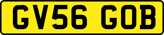 GV56GOB