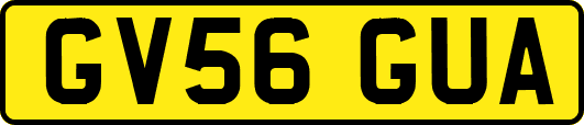 GV56GUA