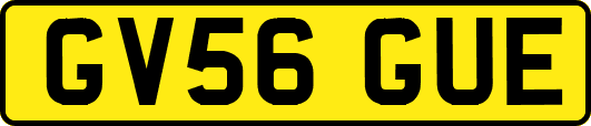 GV56GUE