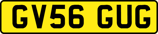 GV56GUG