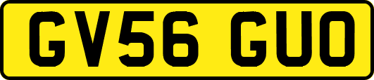 GV56GUO