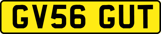 GV56GUT