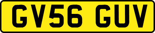 GV56GUV
