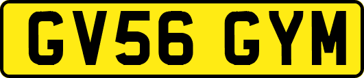 GV56GYM