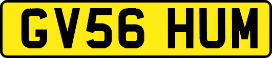 GV56HUM