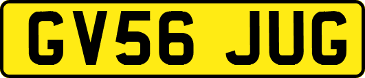 GV56JUG