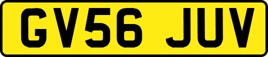 GV56JUV
