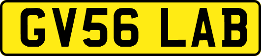 GV56LAB