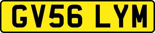 GV56LYM