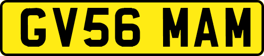 GV56MAM