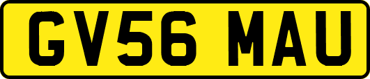 GV56MAU