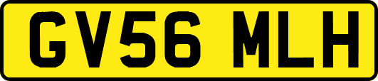 GV56MLH