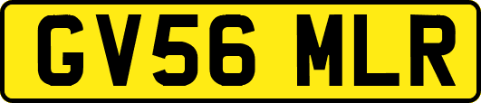 GV56MLR