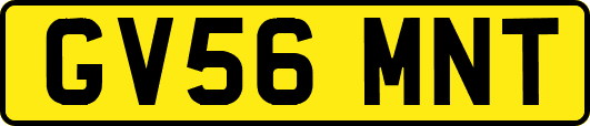 GV56MNT