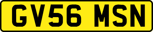 GV56MSN