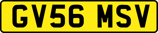 GV56MSV