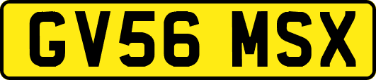 GV56MSX