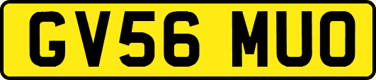 GV56MUO