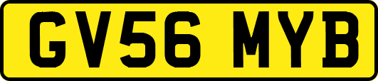 GV56MYB