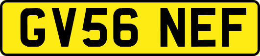 GV56NEF