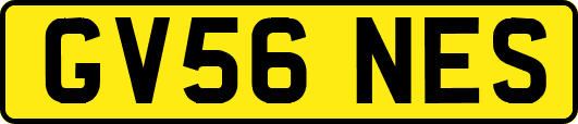 GV56NES