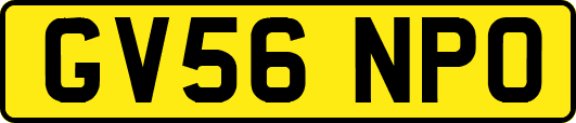 GV56NPO