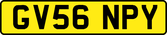 GV56NPY