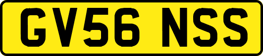GV56NSS