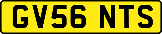 GV56NTS
