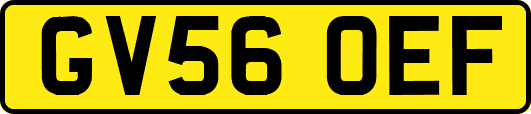 GV56OEF