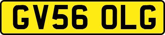 GV56OLG