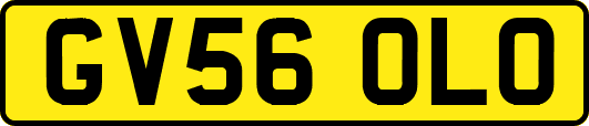 GV56OLO