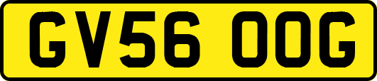 GV56OOG