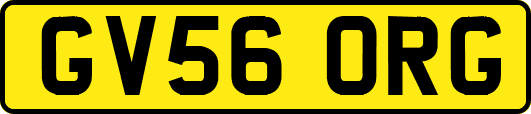 GV56ORG