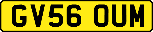 GV56OUM