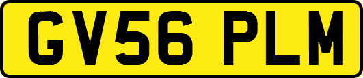 GV56PLM