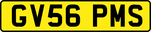 GV56PMS