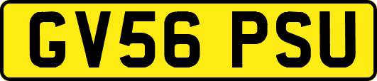 GV56PSU