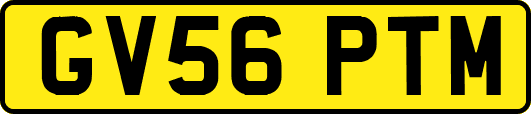 GV56PTM