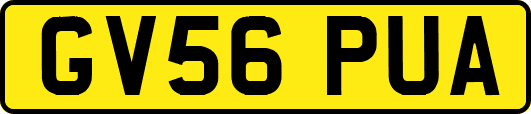 GV56PUA