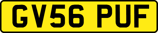 GV56PUF