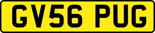 GV56PUG