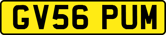 GV56PUM