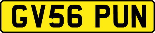 GV56PUN
