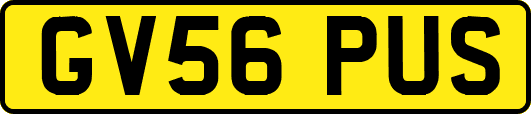 GV56PUS
